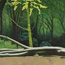 Alan Mackay - In A Cornish Wood - The Fallen Tree