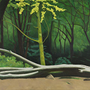 Alan Mackay - In A Cornish Wood - The Fallen Tree Alan Mackay - In A Cornish Wood - The Fallen Tree