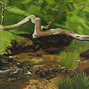 Alan Mackay - In A Cornish Wood - Nature's Bridge Alan Mackay - In A Cornish Wood - Nature's Bridge