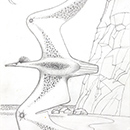 Alan Mackay - Cosmic Bird Alan Mackay - Cosmic Bird