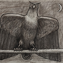 Alan Mackay - Owl