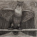 Alan Mackay - Owl Alan Mackay - Owl