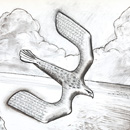 Alan Mackay - Hawk Above The Sea Alan Mackay - Hawk Above The Sea