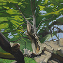 Alan Mackay - The Lightning Tree Alan Mackay - The Lightning Tree