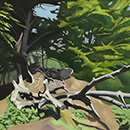 Alan Mackay - The Lightning Tree Alan Mackay - The Lightning Tree