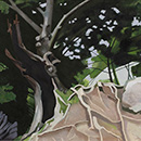 Alan Mackay - The Lightning Tree Alan Mackay - The Lightning Tree