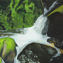 Alan Mackay - In A Cornish Wood - The Cascade Alan Mackay - In A Cornish Wood - The Cascade
