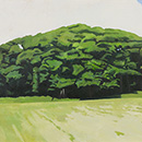 Alan Mackay - The Copse No. 3