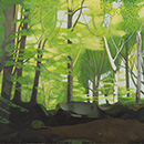 Alan Mackay - In A Cornish Wood - Springtime Alan Mackay - In A Cornish Wood - Springtime
