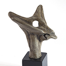 Alan Mackay - Animal Head Alan Mackay - Animal Head
